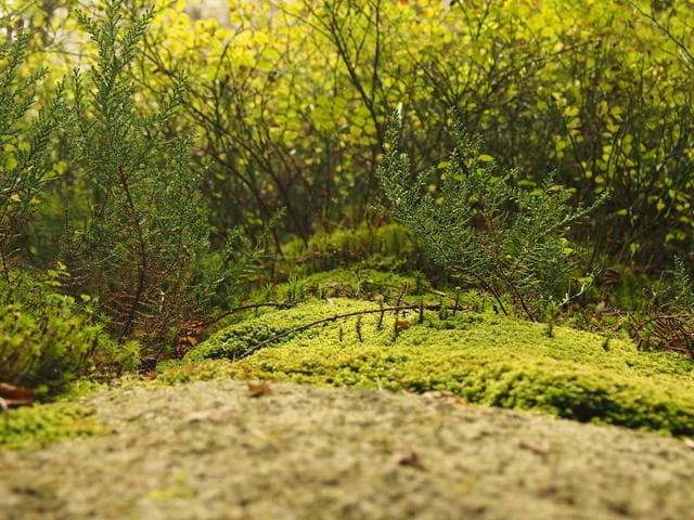 營區全景